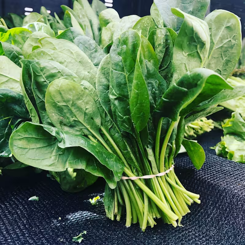 Beyond Salad: Creative Ways to Use Spring Greens