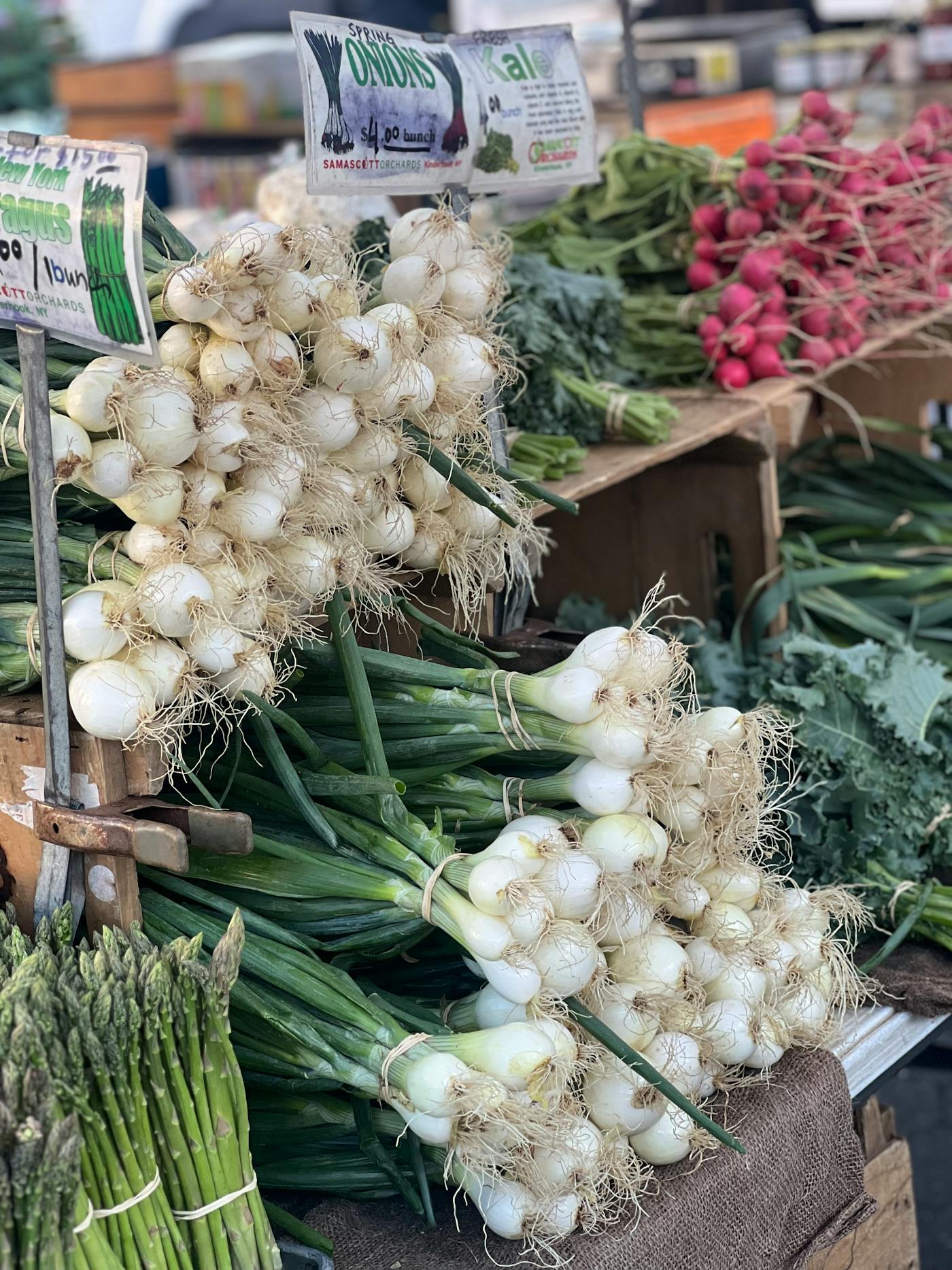Bundles of fresh spring onions, radishes, and asparagus on display at a farmers market stall