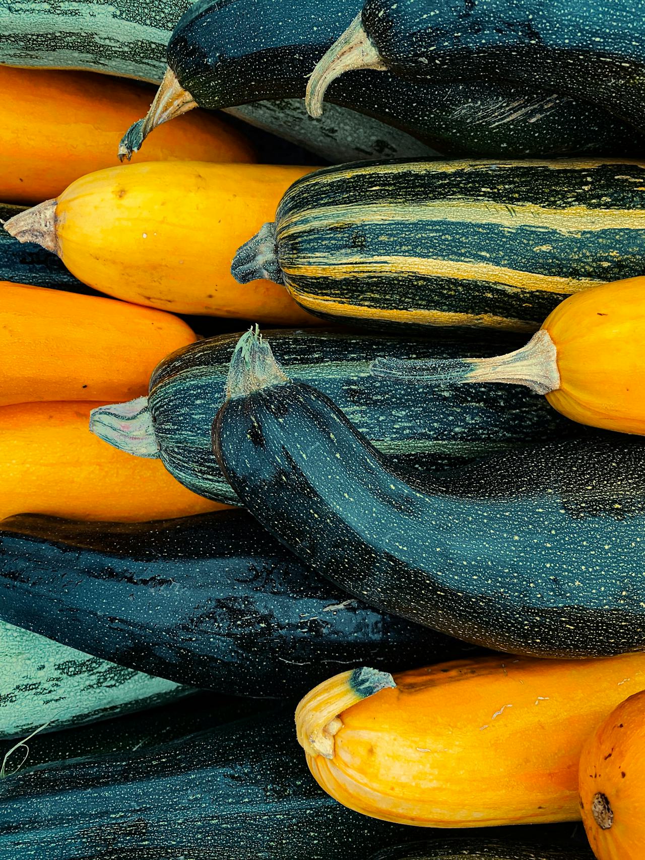 Summer Squash Season Is Here: Your Farmers Market Guide to Zucchini and Beyond