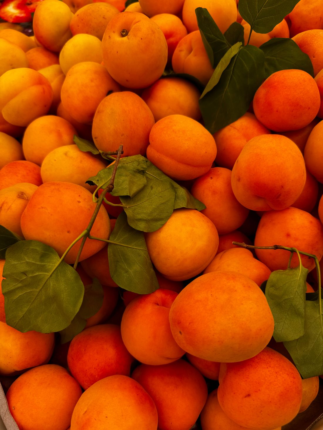 Apricot Season Is Fleeting: How to Catch the Market's Most Underrated Summer Fruit